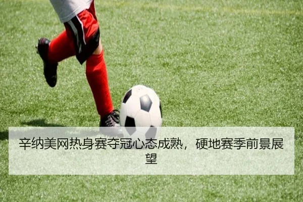 辛纳美网热身赛夺冠心态成熟，硬地赛季前景展望